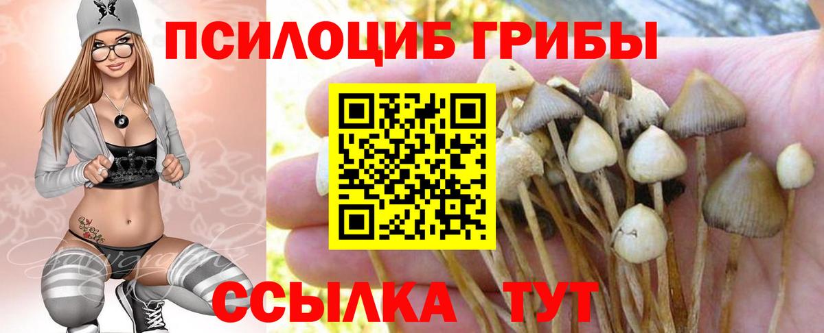 Галлюциногенные грибы мицелий  Вход с VPN  Славгород  Псилоцибиновые грибы GOLDEN TEACHER 